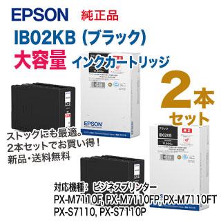 エプソン（EPSON） 【大容量・ブラック2本セット】 IB02KB インク