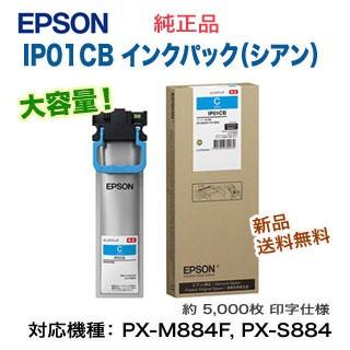 エプソン IP01CB インクパック シアン 【大容量】 純正品・新品 （ビジネスプリンター PX-M884F, PX-M885F, PX-S884, PX-S885 対応） 【送料無料】 | エプソン