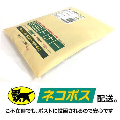 エプソン（EPSON） 【ネコポス便】【代引決済不可】エプソン 純正