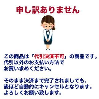 SELPHY 【20枚入x2箱】 キヤノン カラーインク/ラベルセット XC-20L