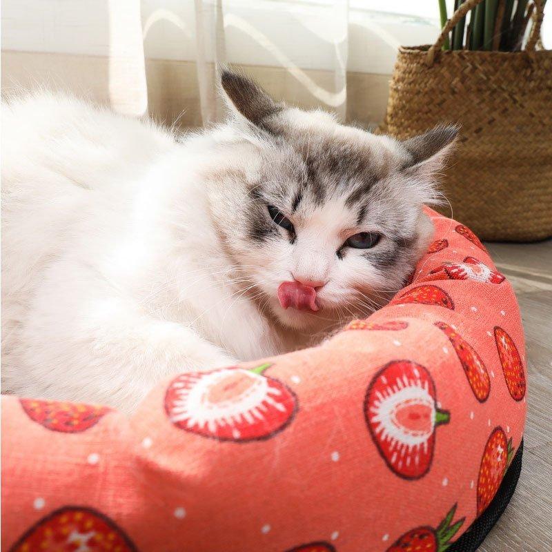 最大65 Offクーポン ベッド クールマット 犬 冷感 夏用 ひんやり 暑さ対策 犬用品 猫用品 猫 ペット 春 夏 クール ペット用クールソファベッド 水洗ok Whitesforracialequity Org