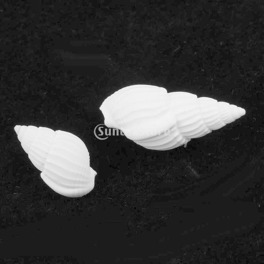 即出荷 500g混合海のビーチシェルの貝殻の水槽の魚水槽の装飾 1 500g Shipsctc Org