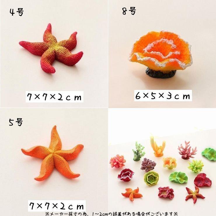 見事なオーナメント ヒトデ風 水槽用アクセサリー new 水槽用 金魚 熱帯魚 アクアリウム用品 水槽用アクセ アクアリウム 観賞魚 カラフル サンゴ風 レ レイアウト用品 水槽用アクセサリー オーナメント ヒトデ風 サンゴ風 珊瑚風 カラフル 熱帯魚 観賞魚 金魚 アクアリウム アクアリウム用品 水槽用アクセ 水槽用 レ