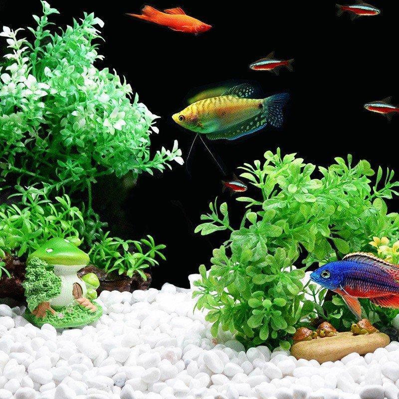 オブジェ 熱帯魚 水槽用模型 魚 New 装飾 置物 飾り オーナメント キノコ サボテン 家 カメ おしゃれ かわいい Zsyh 良品楽市楽座ストア 通販 Yahoo ショッピング