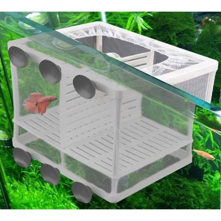 隔離ケース 繁殖隔離ボックス 産卵ケース 水槽用隔離用品 New 育成ケース 吸盤 くっつく 網 ネット 熱帯魚 鑑賞魚 金魚 透明 クリア ア Zsyh 良品楽市楽座ストア 通販 Yahoo ショッピング