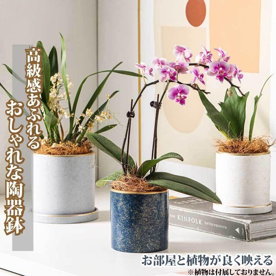 陶器鉢 おしゃれ 植木鉢 鉢植え 11cm ゴールド 円筒形 室内鉢 プランター 受け皿付き 穴あり 観葉植物鉢 蘭 多肉植物 送料無料 開店記念セール