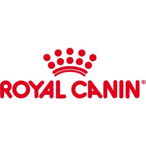 ロイヤルカナン 療法食 猫 腎臓サポート ドライ 4kg_1