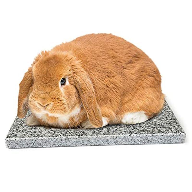 良品yahoo ショップウサギひんやりマット ハムスター涼感マット魔法の天然石 25 15 1 5cm 暑さ対策 夏 熱中症対策 値下げ