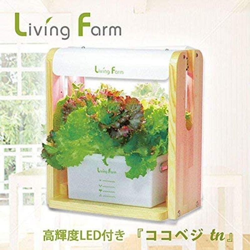 リビングファーム 水耕栽培器キット ココベジtn (高輝度LED付き) リーフレタス種付き 室内 栽培キット 水耕栽培器キット ココベジtn 高輝度LED付き リーフレタス種付き 室内 栽培キット 各1個 1個