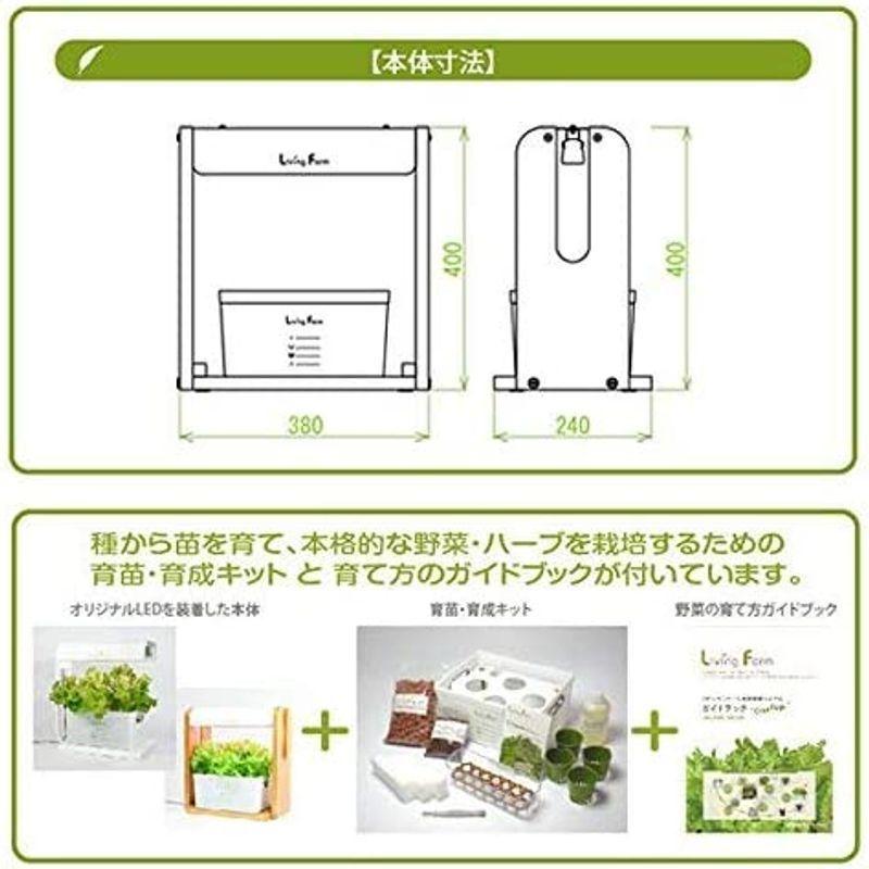 リビングファーム 水耕栽培器キット ココベジtn (高輝度LED付き) リーフレタス種付き 室内 栽培キット 水耕栽培器キット ココベジtn 高輝度LED付き リーフレタス種付き 室内 栽培キット 各1個 1個