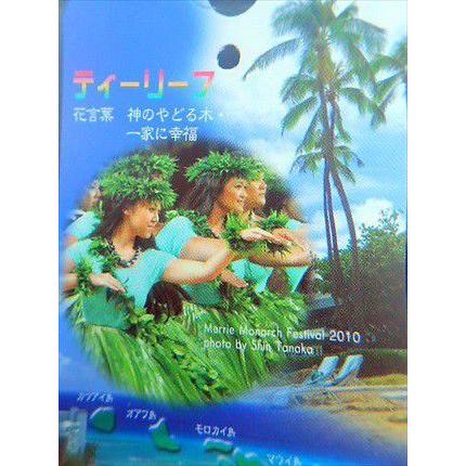 ◎ハワイアン◎≪ティーリーフ・7号L≫◎観葉植物◎【ギフト、贈答