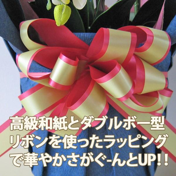 胡蝶蘭 造花 5本立て ホワイト 高級和紙・ダブルボー型リボン
