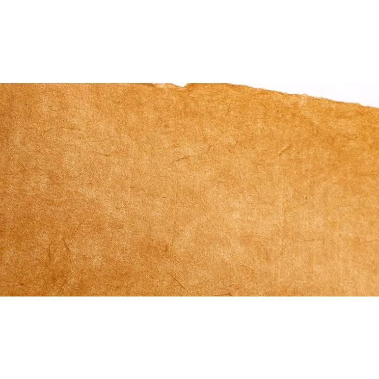 雲龍皮紙 全紙 10枚 水墨画用紙 書道用紙 宣紙 : 書道用品 緑風店