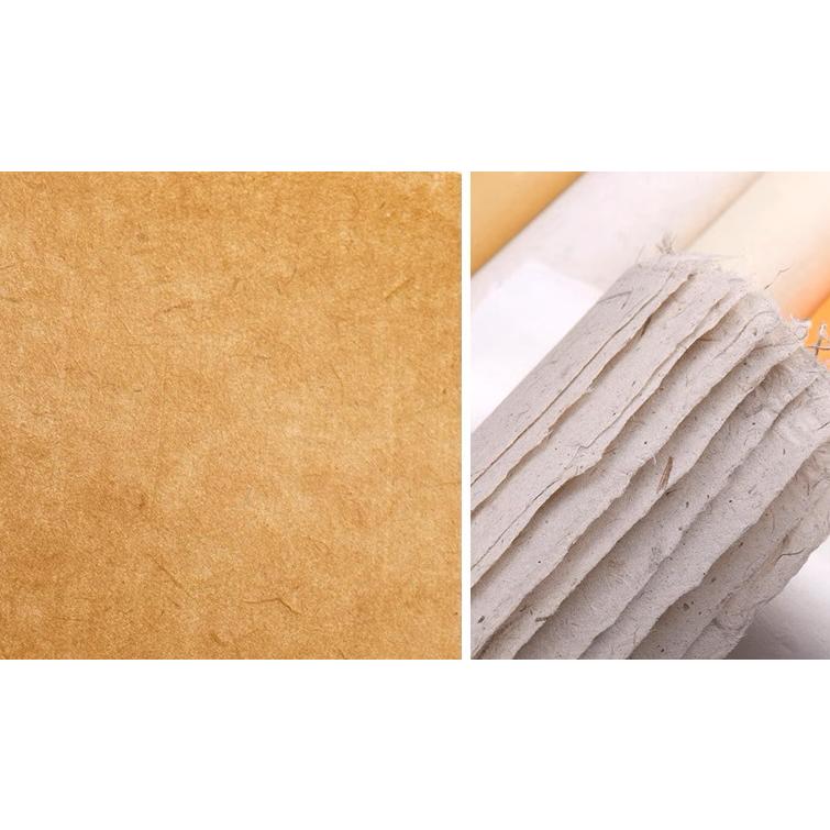 雲龍皮紙 全紙 10枚 水墨画用紙 書道用紙 宣紙 : 書道用品 緑風店