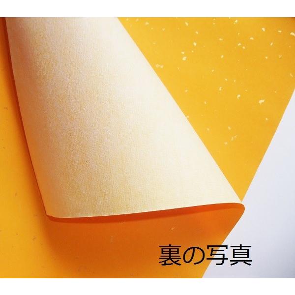 色画仙 冷金箋 金振 山吹色 全紙 10枚 厚口 書道用紙 : 書道用品 緑風