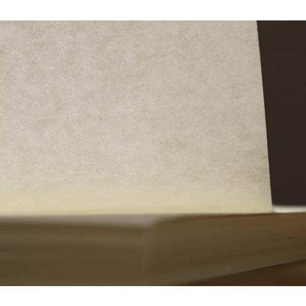 因州書道半紙 特厚口 100枚 書画用紙 : 書道用品 緑風店 - 通販