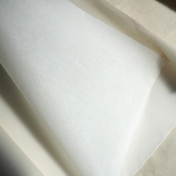 紙 熟宣紙 四尺 蝉衣箋 六尺 66×133cm 10枚 熟箋 工筆画用紙 本画仙