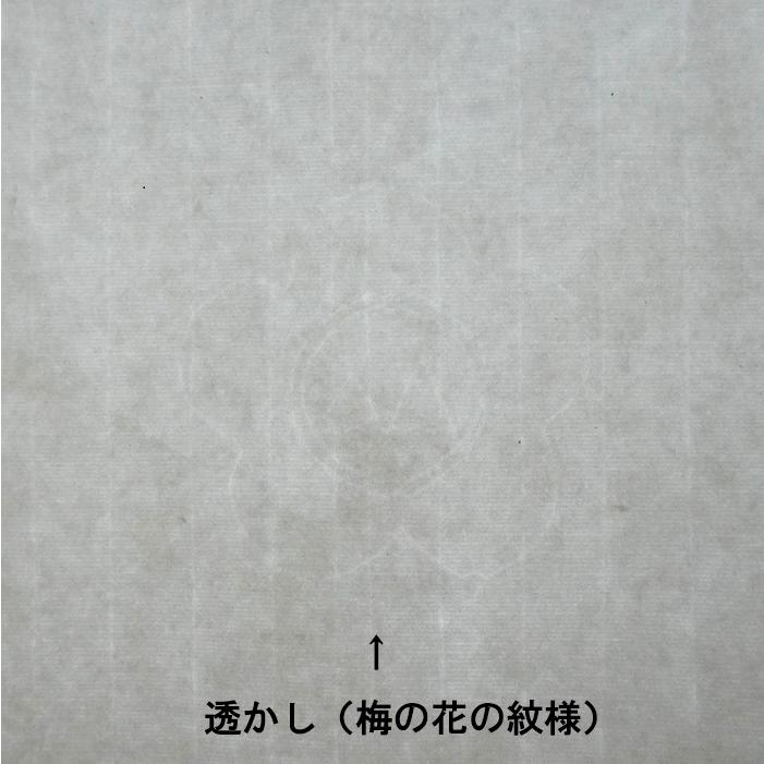 紅星牌 3×6尺 100枚 97×180cm 六尺単宣 書道用紙 宣紙 水墨画用紙