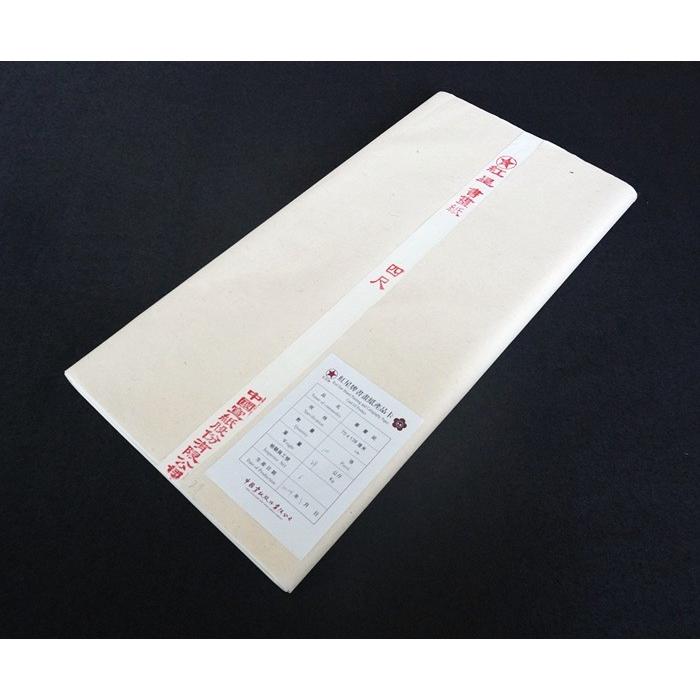 紅星牌 見本紙 5枚 約24cm×35cm 書道用紙 水墨画用紙 宣紙 中国本画仙
