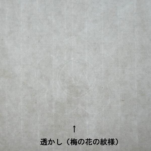 紅星牌 四尺単宣 半切20枚 全紙10枚 書道紙 水墨画用紙 中国本画仙紙