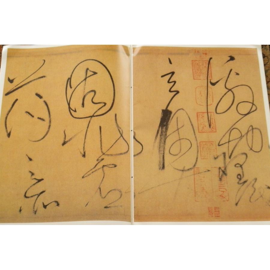 懐素 自叙帖 原色拡大版中国著名碑帖 彩色放大本中国著名碑帖 : 書道