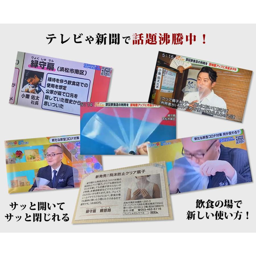 すえひろオリジナル ビーチ扇子 1本 沖縄アイランドロゴ（飛沫防止 黒 コロナ対策扇子 コロナ対策グッズ フェイスシールド マスク 扇子 緑守扇） |  | 04