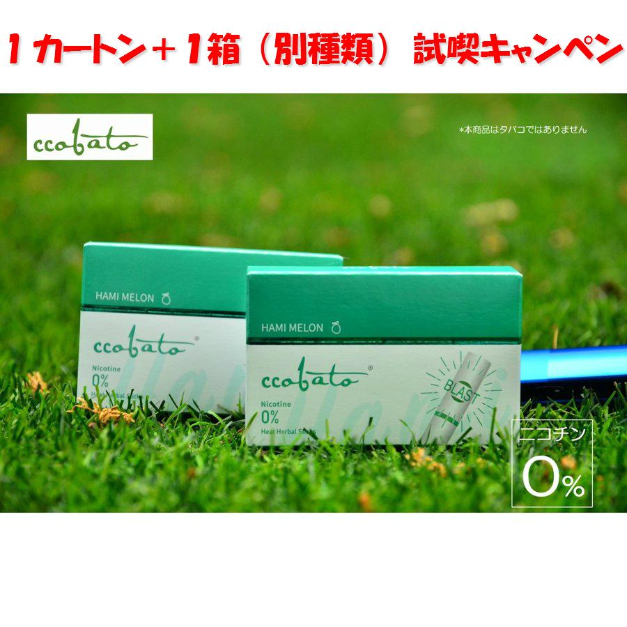 キャンペーン中 コバト Iqosアイコス互換加熱式 1カートン 10箱入 別種類１箱或いは同じ種類の1箱 ニコチンゼロ タールゼロ Ccobato01 陵 川 通販 Yahoo ショッピング