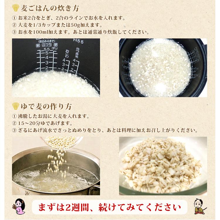 大麦 国産 押麦 業務用 5kg ( 健康 腸活 免疫 ダイエット 押し麦 食物