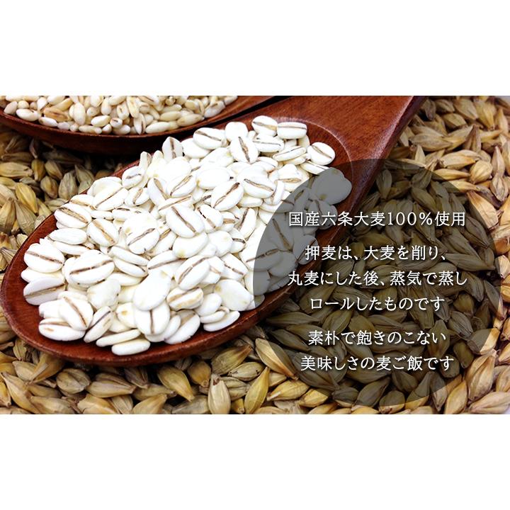 国産 押麦 業務用 5kg 8個セット ( 健康 腸活 免疫 ダイエット 押し麦