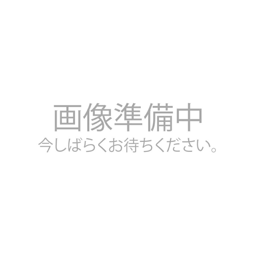 アーネスト 洗濯ボール エコサターン ドラム式対応 送料無料 良品百科 通販 Paypayモール