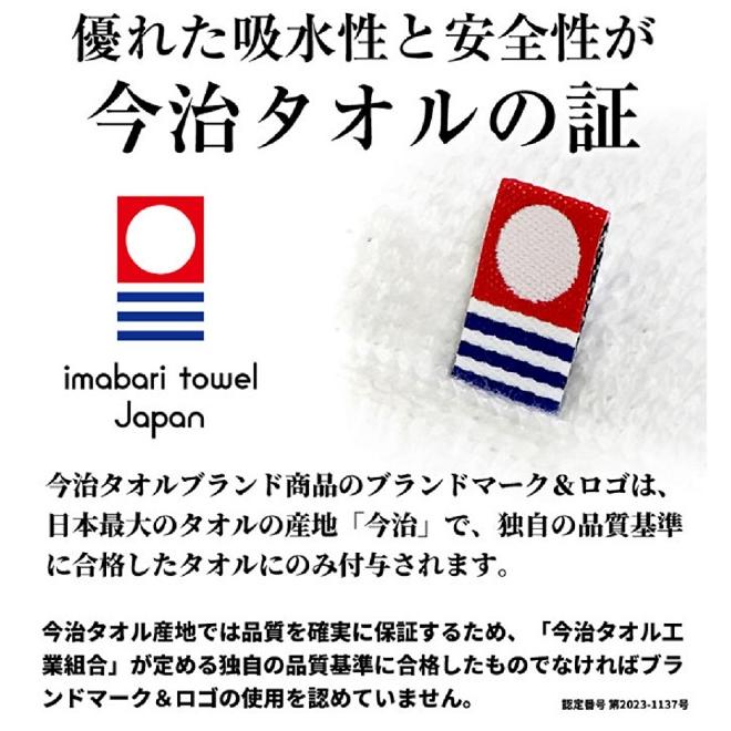今治タオルケット ダブル 180×230cm 日本製 国産 洗える 綿 タオル地