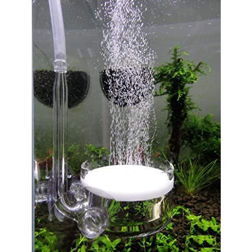 ディフューザー Co2拡散器 ビートル風 ガラス製 直径４センチ 90 1cmサイズの水槽用 S 良品本舗2号店 通販 Yahoo ショッピング
