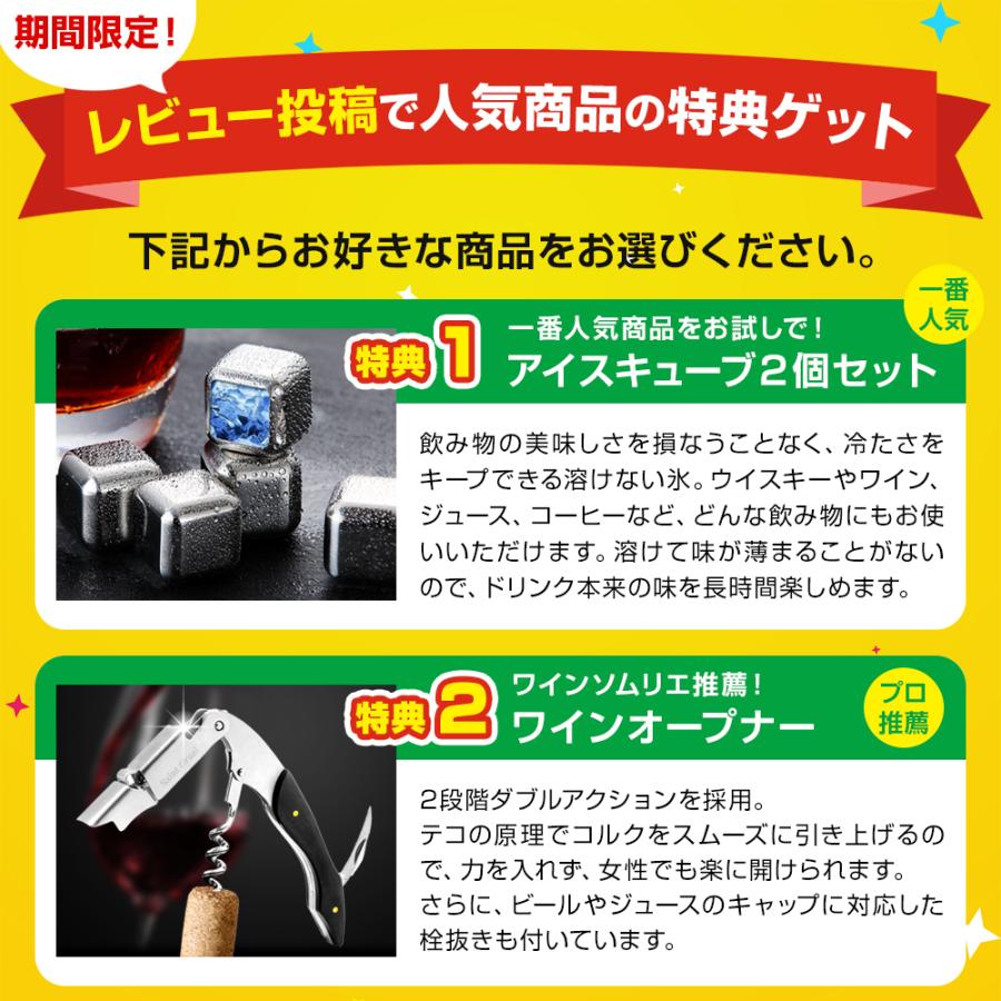 アイスキューブ 12個 ステンレス 溶けない氷 酒 ビール ハイボール