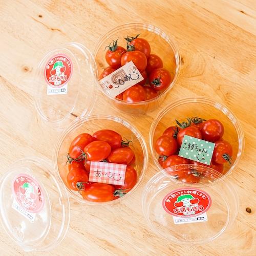 ミニトマト 小鈴ファーム 愛知県 知多半島名産 トマト農家 2kg ミニトマト 小鈴ファーム 愛知県 知多半島名産 トマト農家 2kg