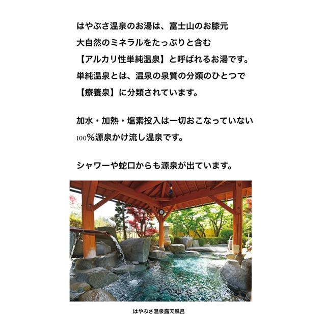 りょう泉はやぶさ温泉水 500mL×24本 (PFAS検査合格 高アルカリ 超軟水 紫外線殺菌 非加熱処理 ケア 料理 コーヒー 備蓄 ミネラルウォーター) | ブランド登録なし | 01
