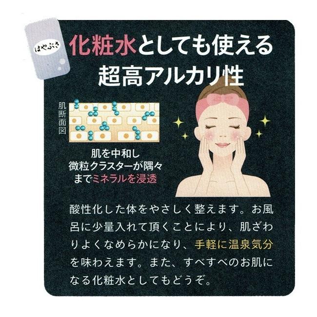 りょう泉はやぶさ温泉水 500mL×24本 (PFAS検査合格 高アルカリ 超軟水 紫外線殺菌 非加熱処理 ケア 料理 コーヒー 備蓄 ミネラルウォーター) | ブランド登録なし | 02