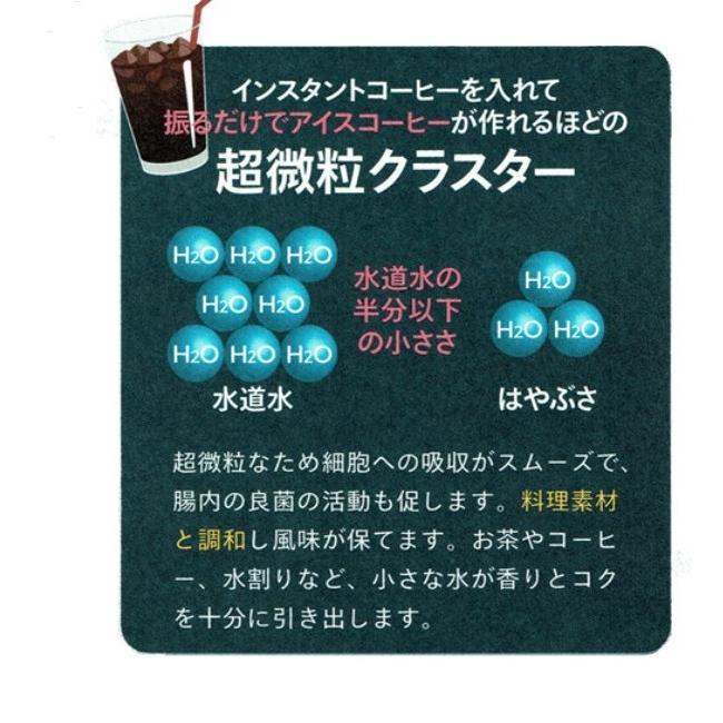 りょう泉はやぶさ温泉水 500mL×24本 (PFAS検査合格 高アルカリ 超軟水 紫外線殺菌 非加熱処理 ケア 料理 コーヒー 備蓄 ミネラルウォーター) | ブランド登録なし | 03