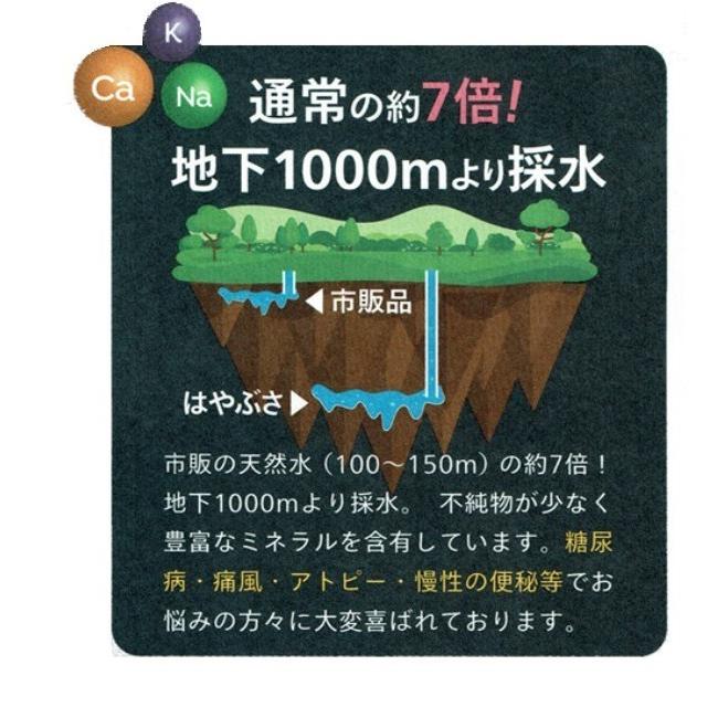 りょう泉はやぶさ温泉水 500mL×24本 (PFAS検査合格 高アルカリ 超軟水 紫外線殺菌 非加熱処理 ケア 料理 コーヒー 備蓄 ミネラルウォーター) | ブランド登録なし | 04