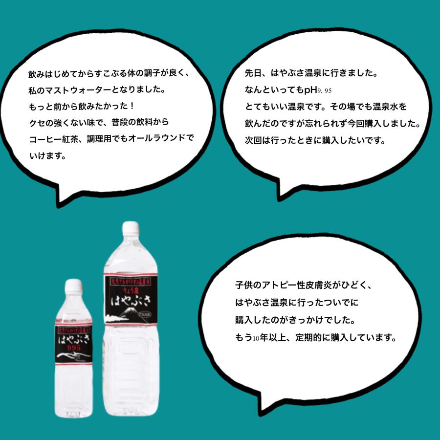 りょう泉はやぶさ温泉水 500mL×24本 (PFAS検査合格 高アルカリ 超軟水 紫外線殺菌 非加熱処理 ケア 料理 コーヒー 備蓄 ミネラルウォーター) | ブランド登録なし | 13