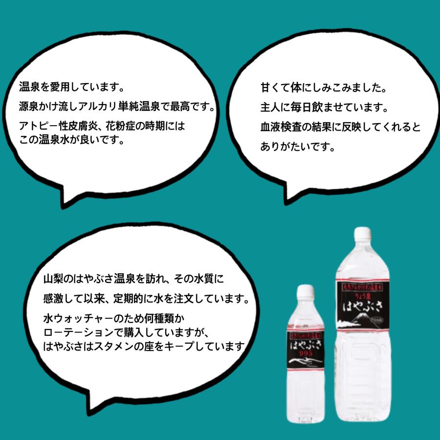 りょう泉はやぶさ温泉水 500mL×24本 (PFAS検査合格 高アルカリ 超軟水 紫外線殺菌 非加熱処理 ケア 料理 コーヒー 備蓄 ミネラルウォーター) | ブランド登録なし | 14