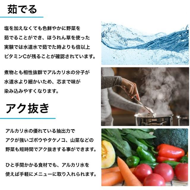 りょう泉はやぶさ温泉水 コック付き20L BiB (PFAS検査合格 高アルカリ 超軟水 紫外線殺菌 非加熱処理 ケア 料理 コーヒー 備蓄 ミネラルウォーター) | ブランド登録なし | 06