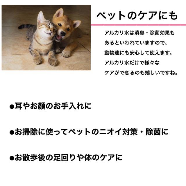 りょう泉はやぶさ温泉水 コック付き20L BiB (PFAS検査合格 高アルカリ 超軟水 紫外線殺菌 非加熱処理 ケア 料理 コーヒー 備蓄 ミネラルウォーター) | ブランド登録なし | 12