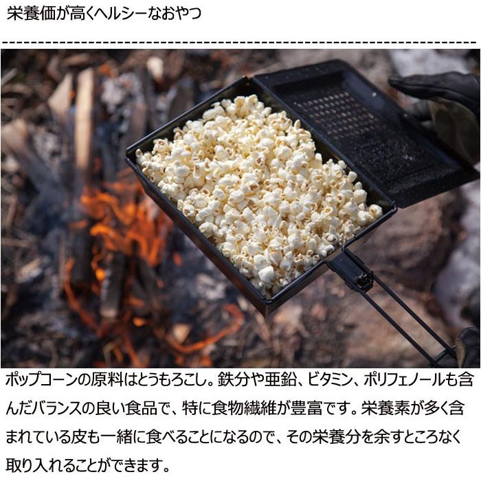 ファイヤーサイド シェイクポップ ポップコーン トウコロモシ おやつ スナック菓子 フレーバー たき火 アウトドア キャンプ キャンプファイヤー 4055 両総屋yahoo 店 通販 Yahoo ショッピング