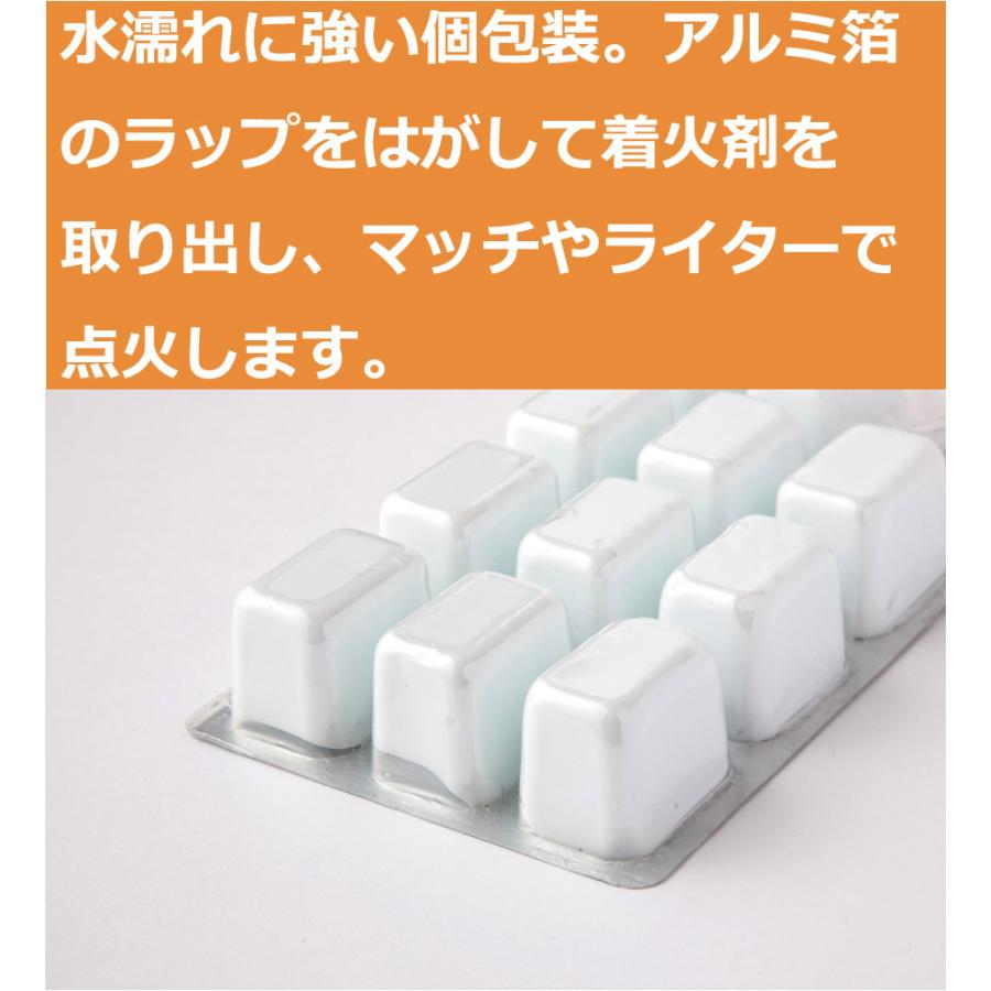 FIRESIDE（ファイヤーサイド） 使い切りサイズ ドラゴン着火剤 1パック