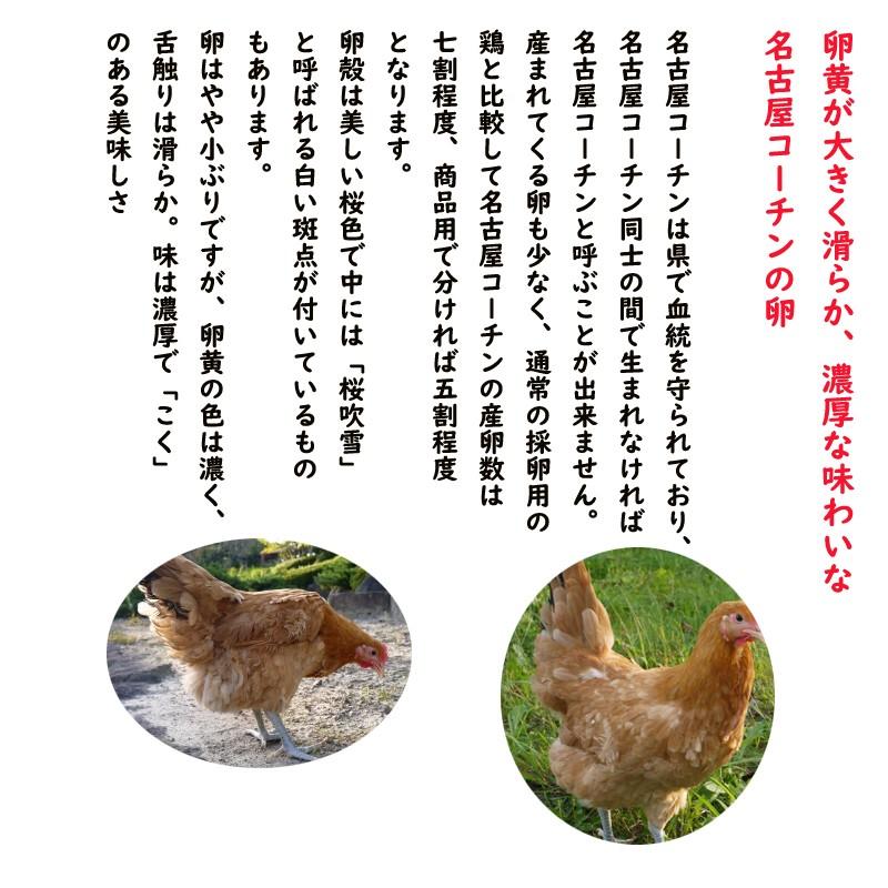 最大40 Offクーポン 農場直送 濃厚な味わい 純系 名古屋コーチン卵 40個入り 愛知県産 こく 鶏 ニワトリ にわとり たまご 花井養鶏場 送料無料 Dprd Jatimprov Go Id