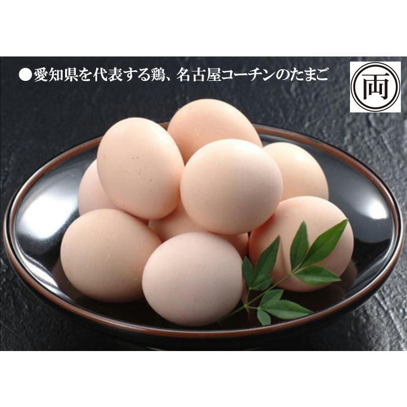 農場直送 濃厚な味わい 純系 名古屋コーチン卵 50個入り 愛知県産 こく 鶏 ニワトリ にわとり たまご 花井養鶏場 送料無料 4102 両総屋yahoo 店 通販 Yahoo ショッピング