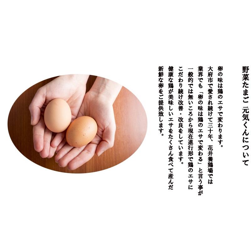 日本初の 卵 たまご 但熊 百笑館 西垣養鶏場 くりたま ギフト Lサイズ 40個 Babylonrooftop Com Au
