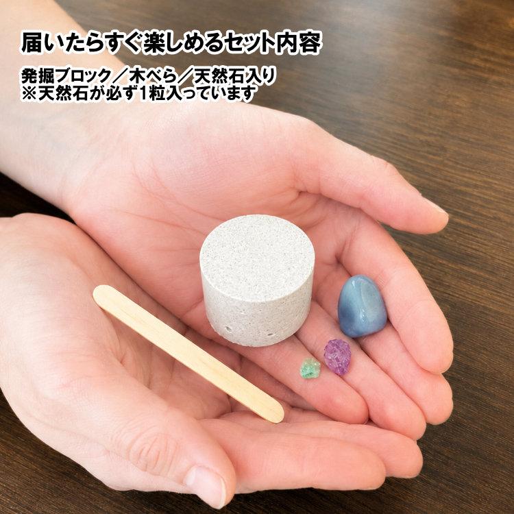 天然石専門店の宝石原石採掘キット 6個組 大人向け 子供向け 天然石