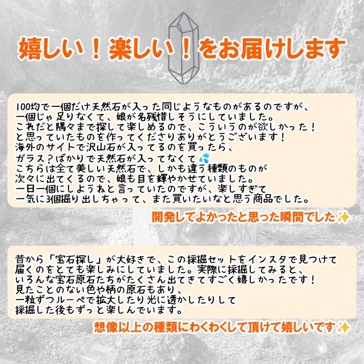 天然石専門店の宝石原石採掘キット 6個組 大人向け 子供向け 天然石
