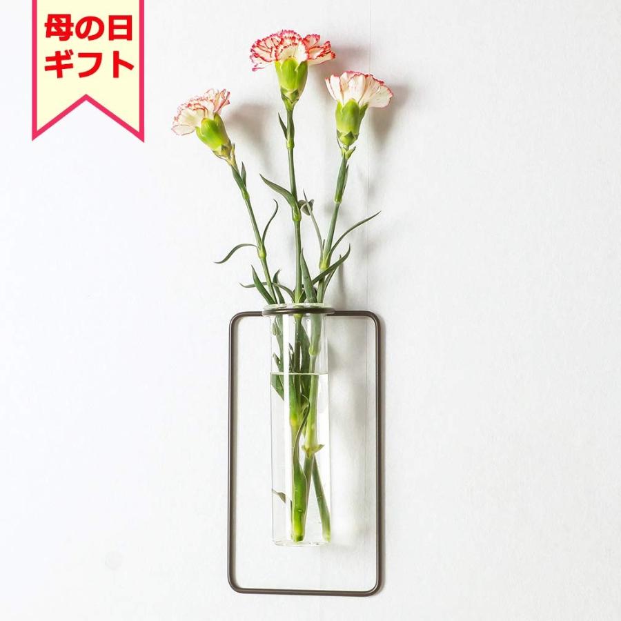 Baoyouni 壁掛け 花瓶 ミニ花器 ガラス製 透明 フラワーベース 一輪挿し おしゃれ 多肉植物 アンティーク 四角形 黒色 010 Rys 通販 Yahoo ショッピング